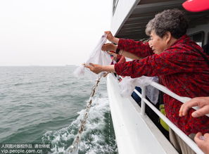 秦皇岛 25万尾褐马鲆鱼苗投放国家级水产种质资源保护区